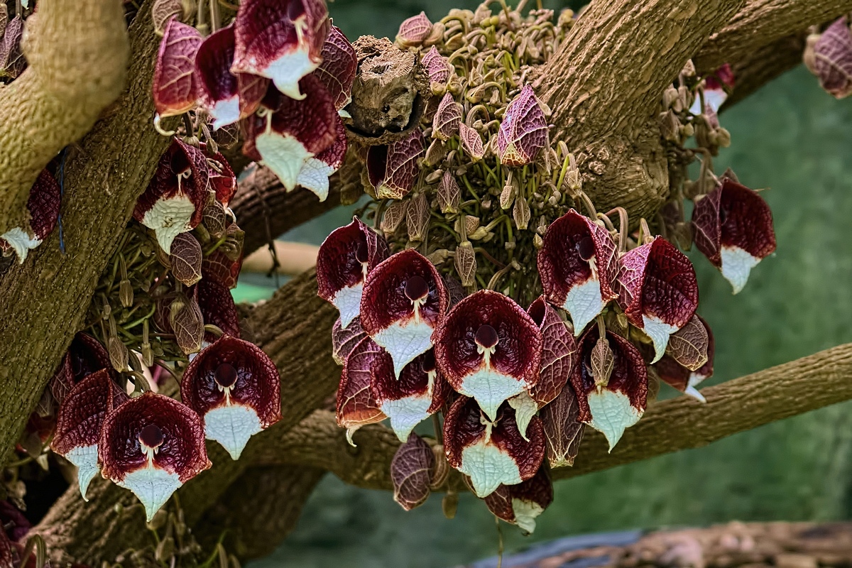Image00008k
