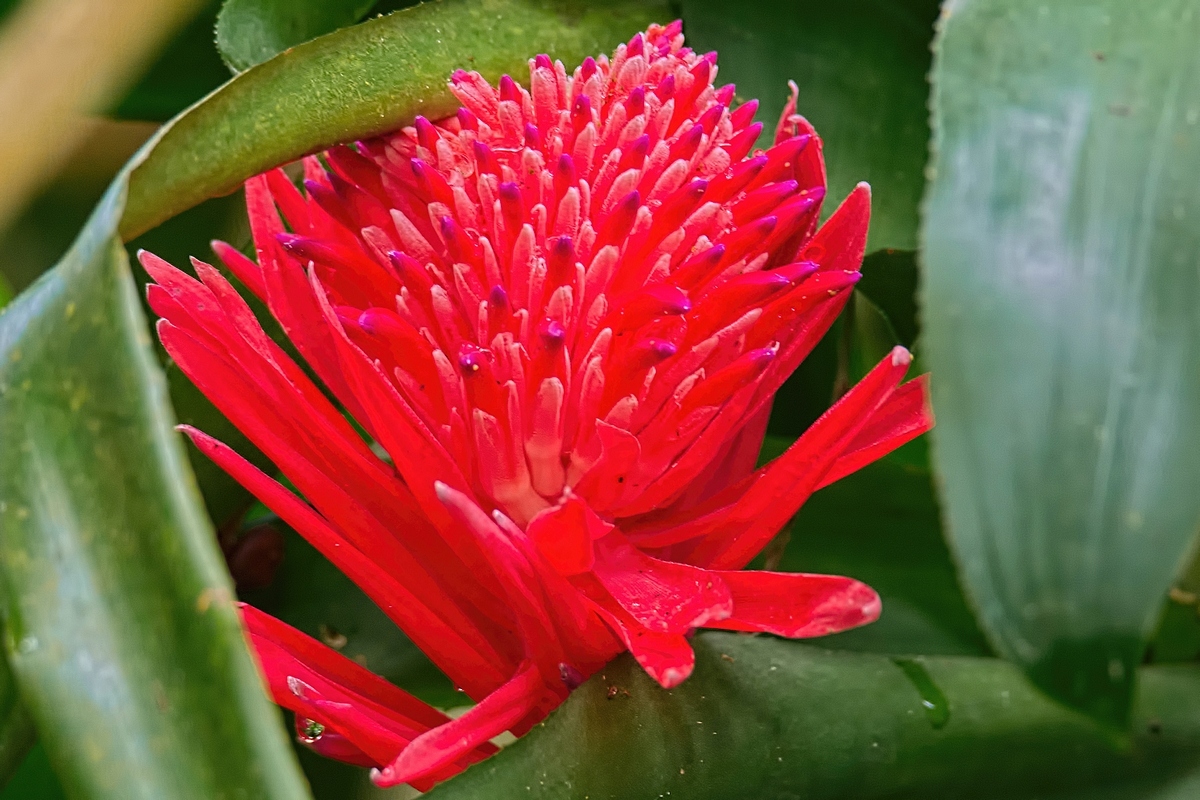Image00009k