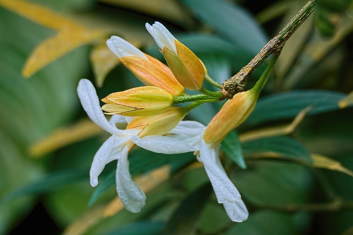Image00011k