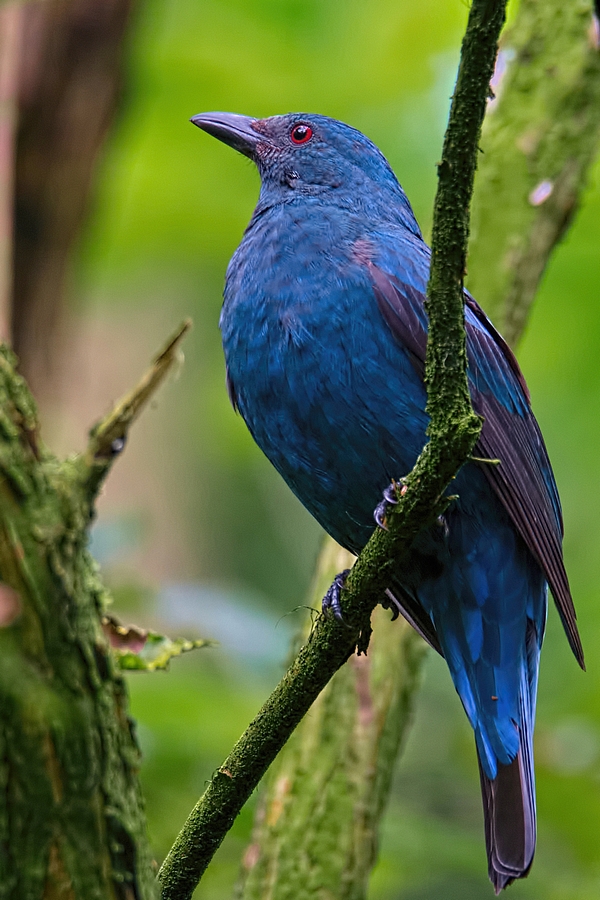 Image00014k