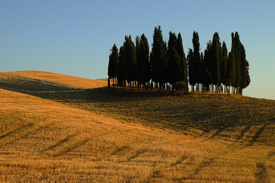 image001
