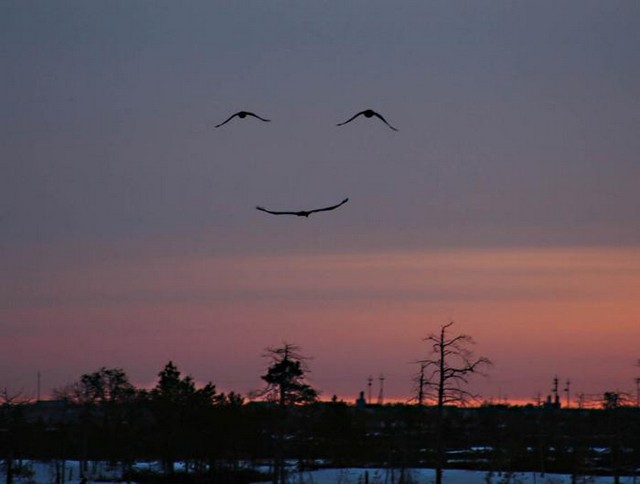 image00111