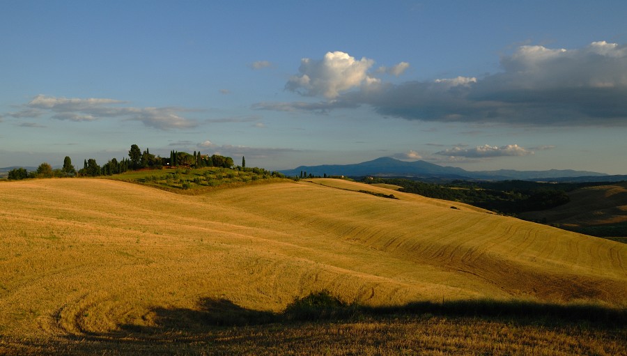 image003