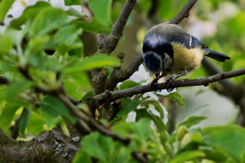 image117