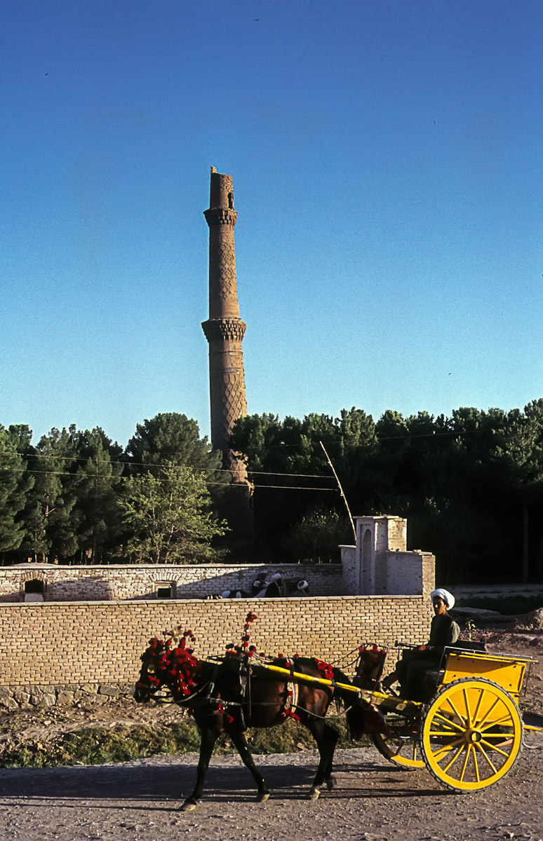 IMG 005