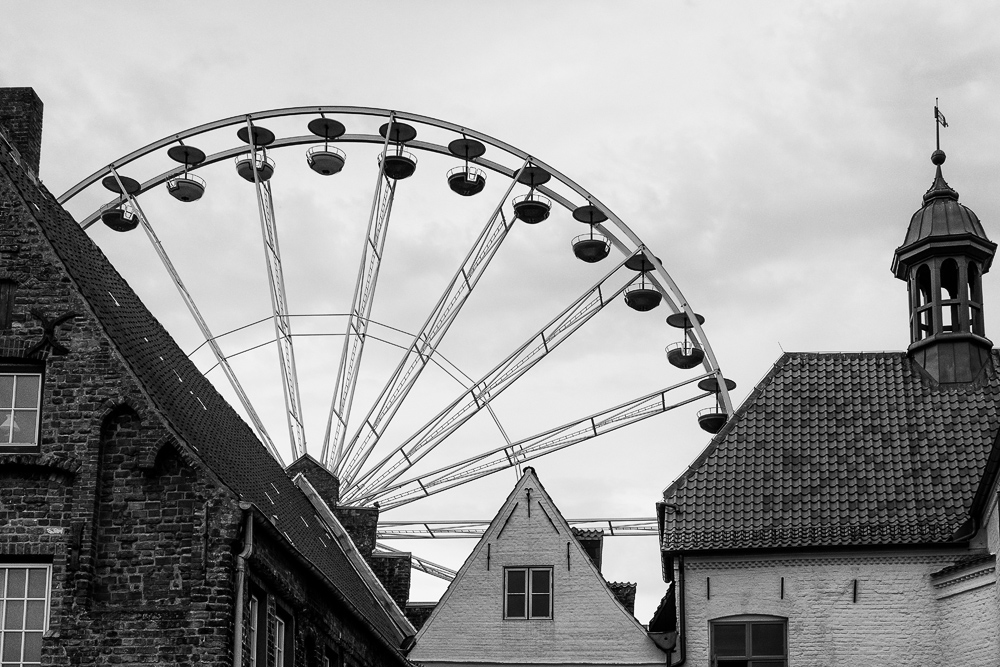 IMG 0144bw