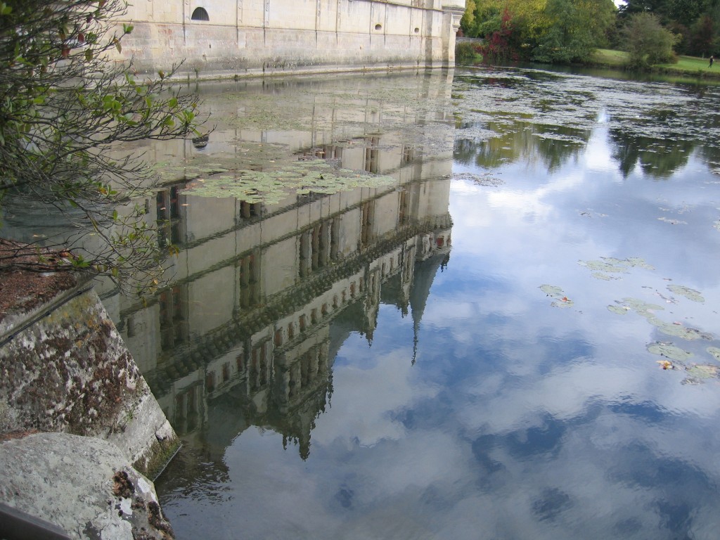 IMG 0323
