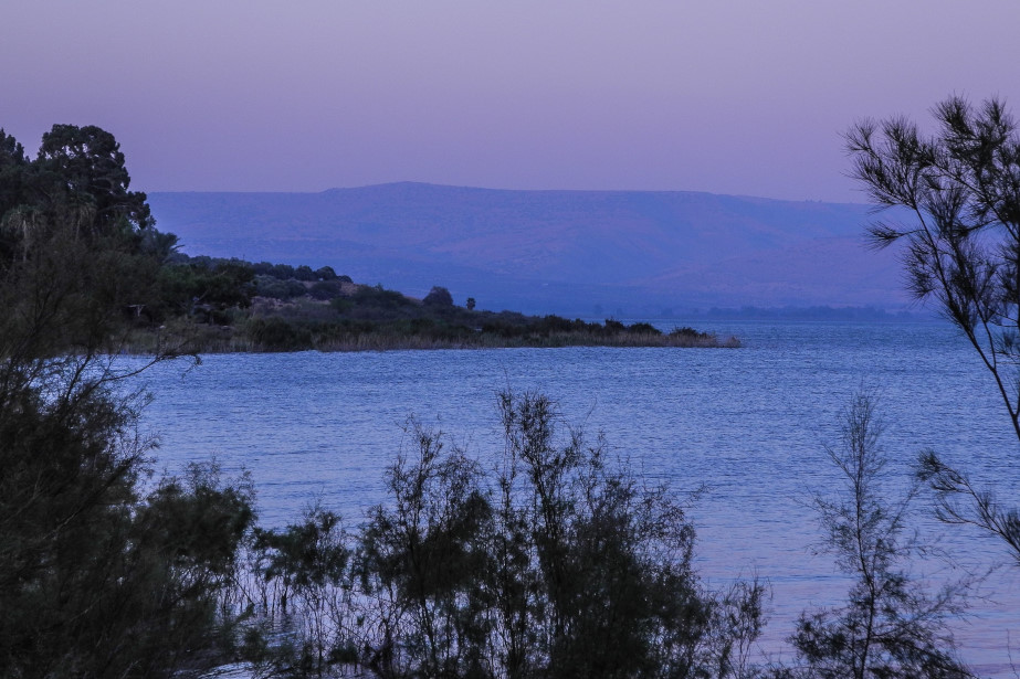 IMG 0420 01