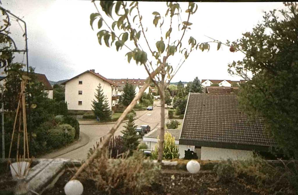 IMG 0692