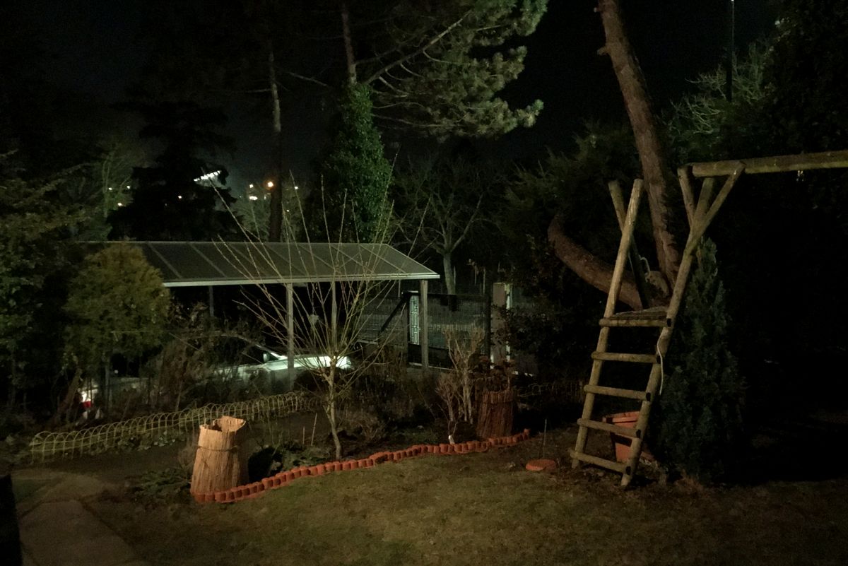IMG 1500