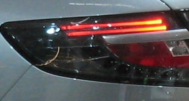 IMG 1885 1