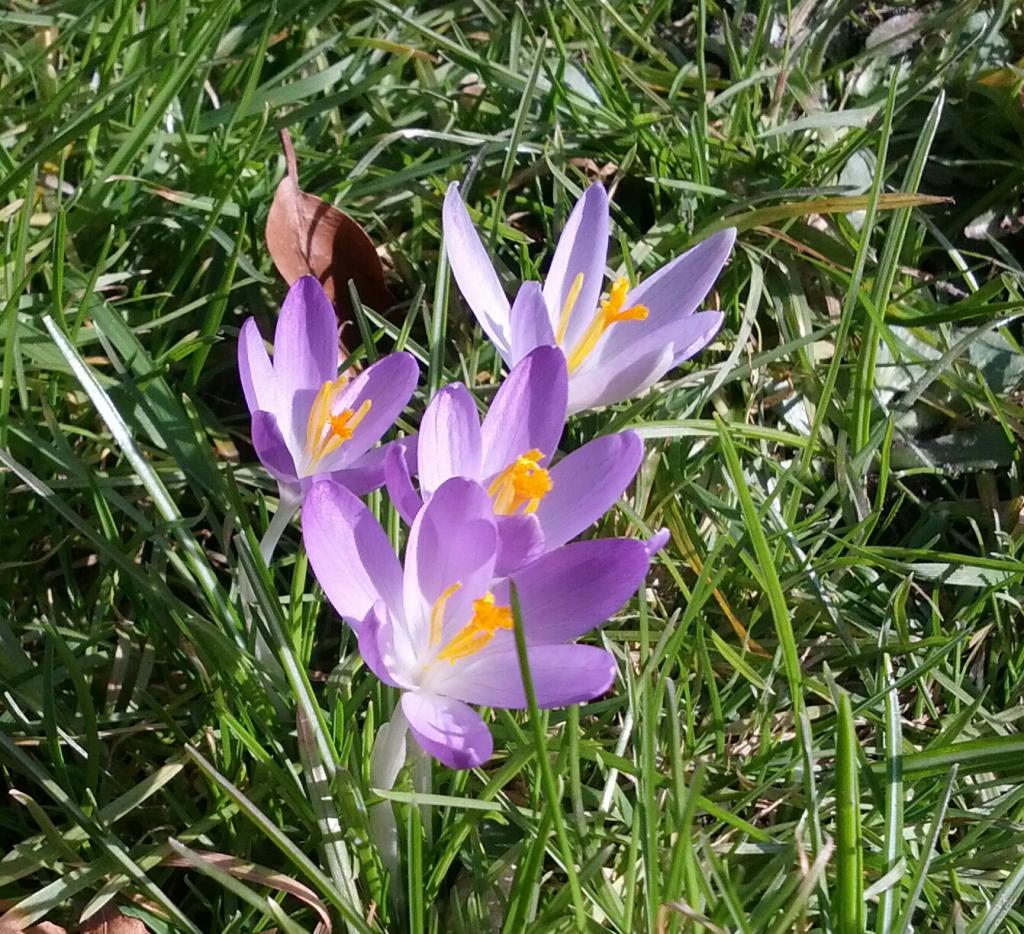 IMG 20130306 112524