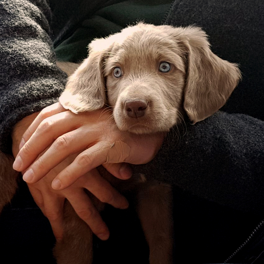 IMG 20180401 WA0009 w2