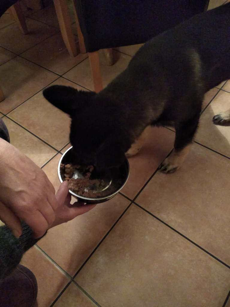 IMG 20181104 1927002