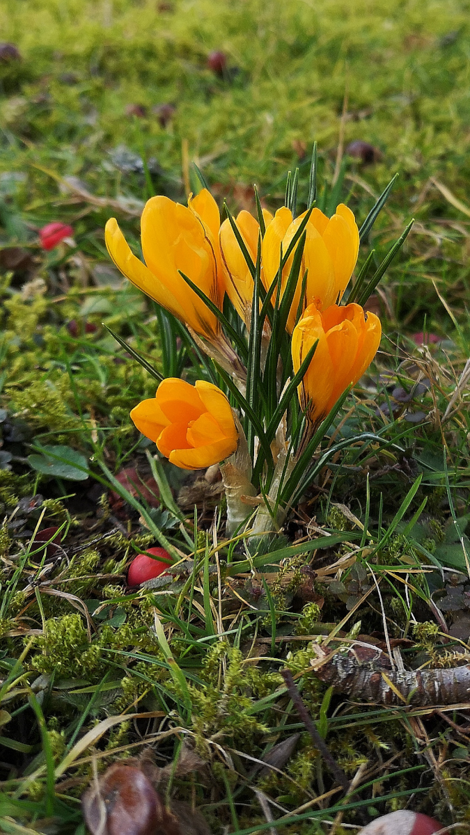 IMG 20190221 180615
Huawei P20 pro