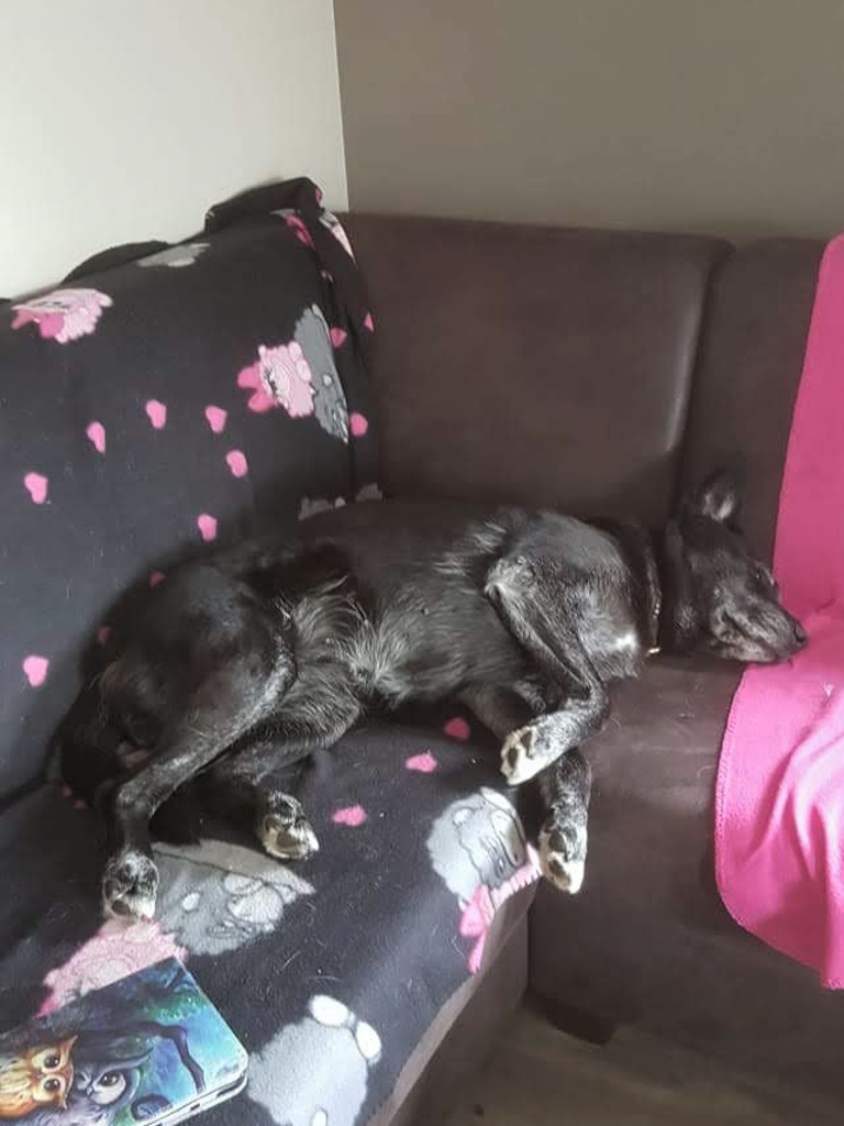 IMG-20190516-WA0008_00001.jpg