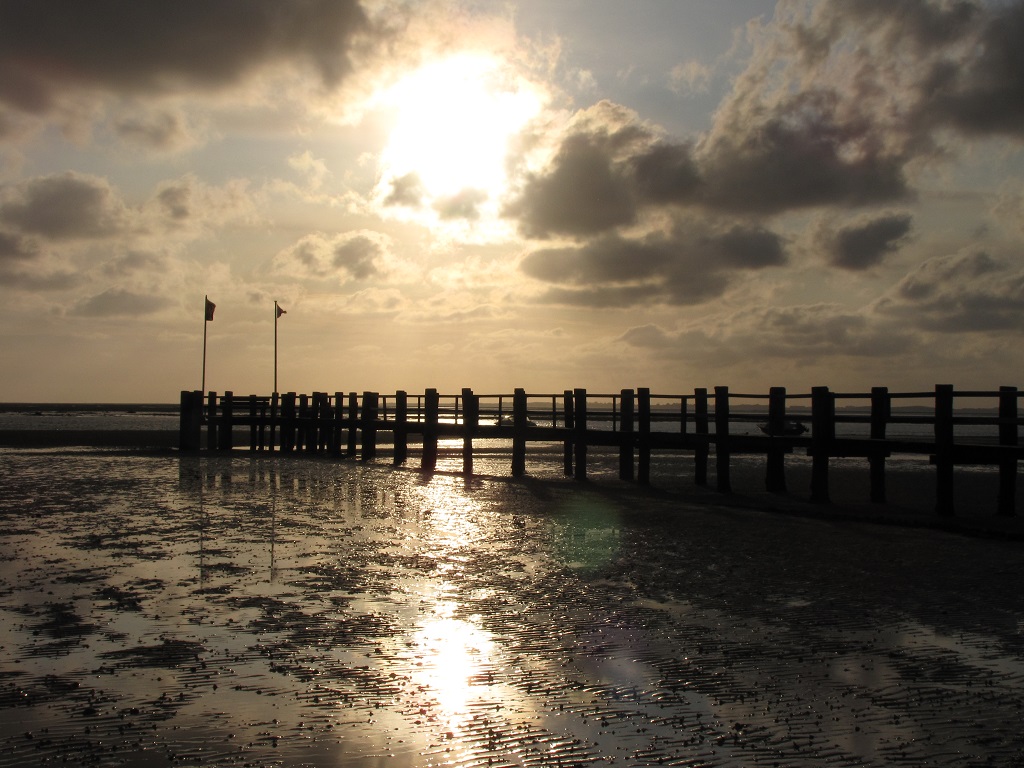 img 2253
