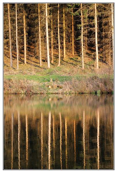 IMG 4828.jpg Stilletal 2