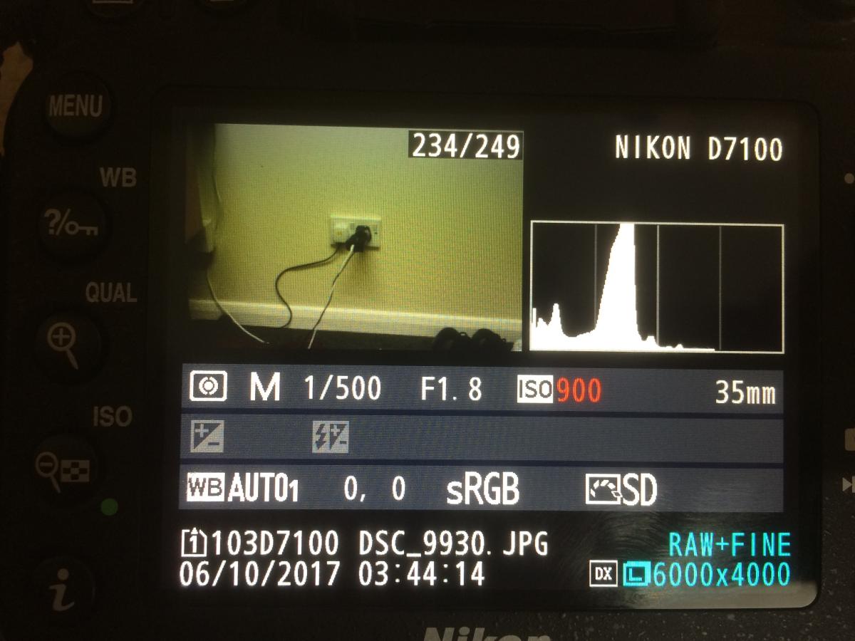 IMG 6616