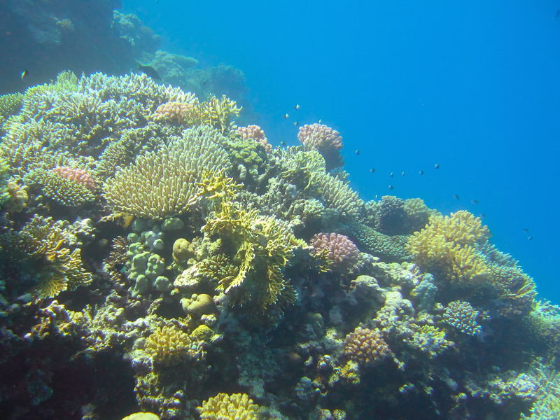 IMG 7879 4