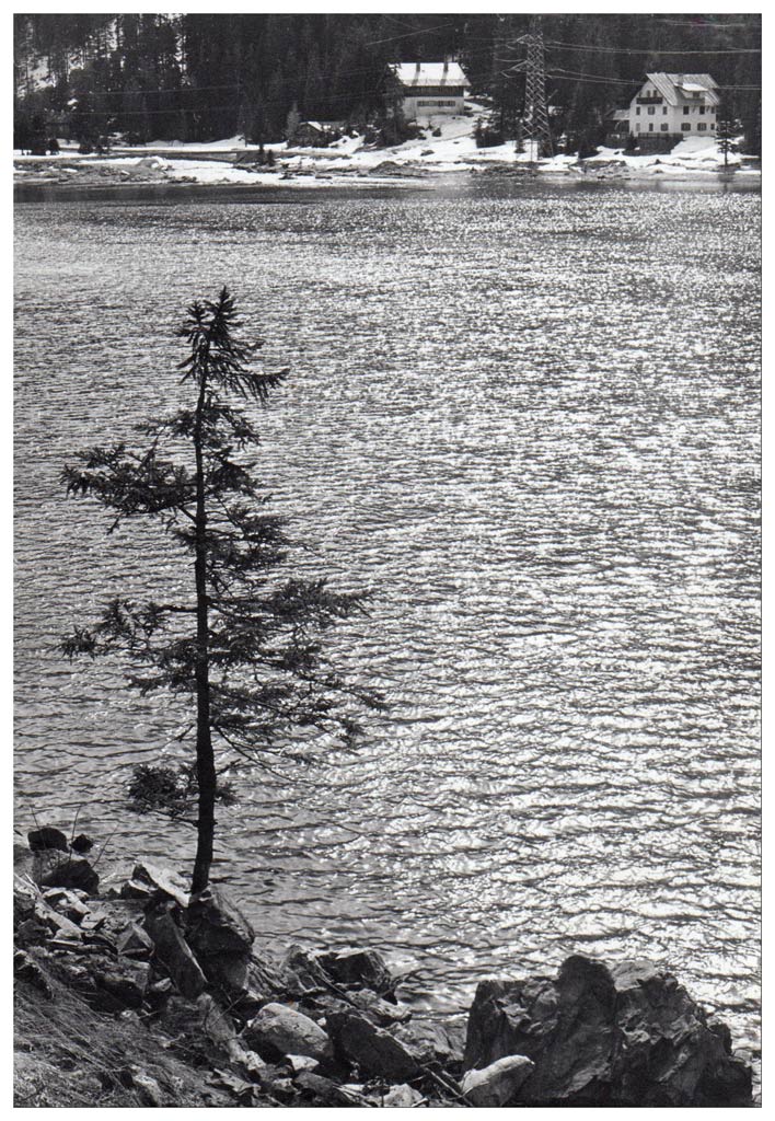 img015 B w
