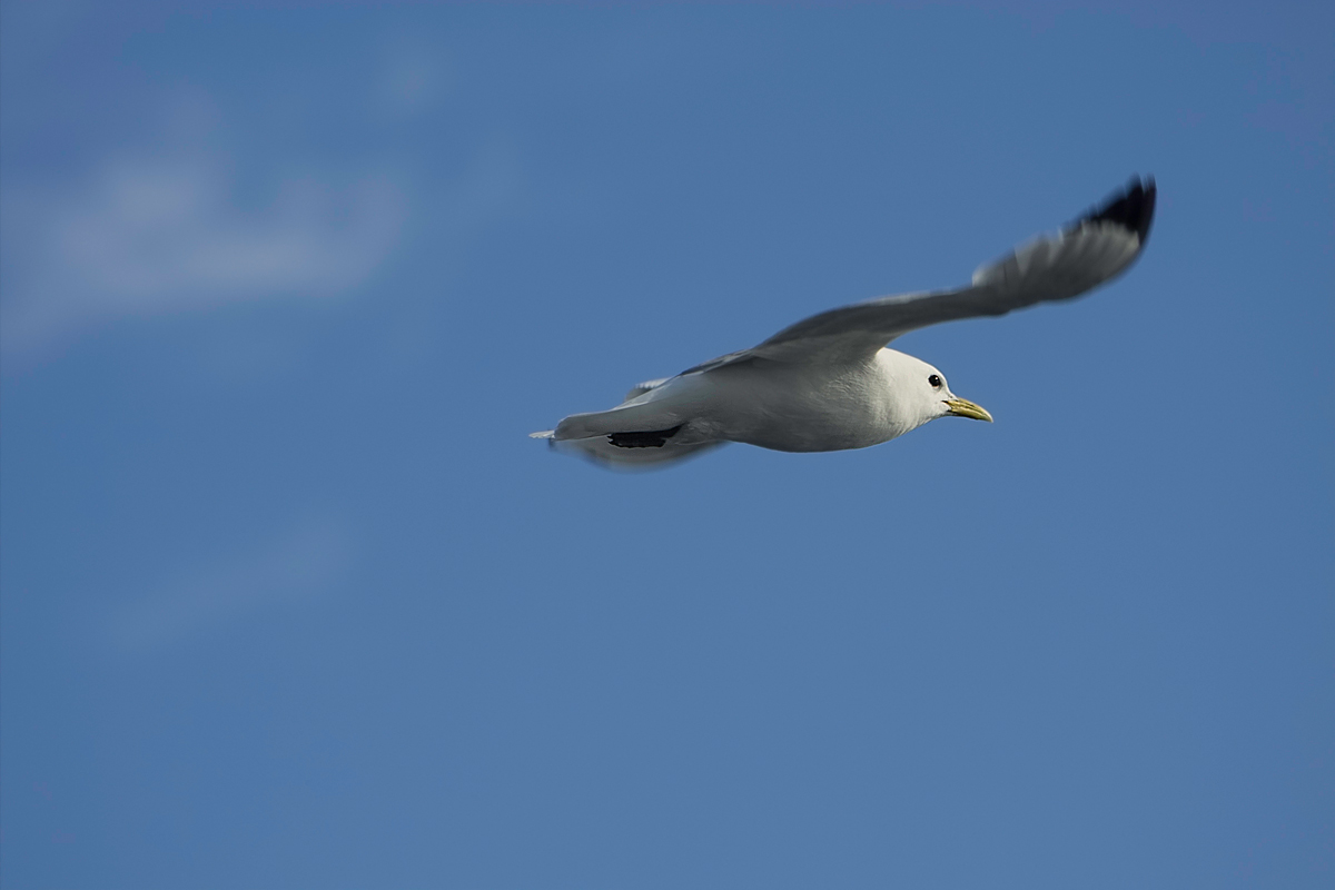 IMG05805