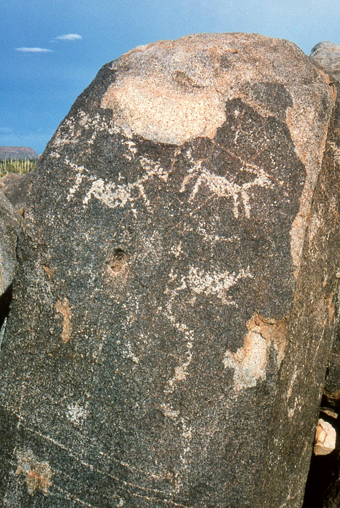 img090.jpg