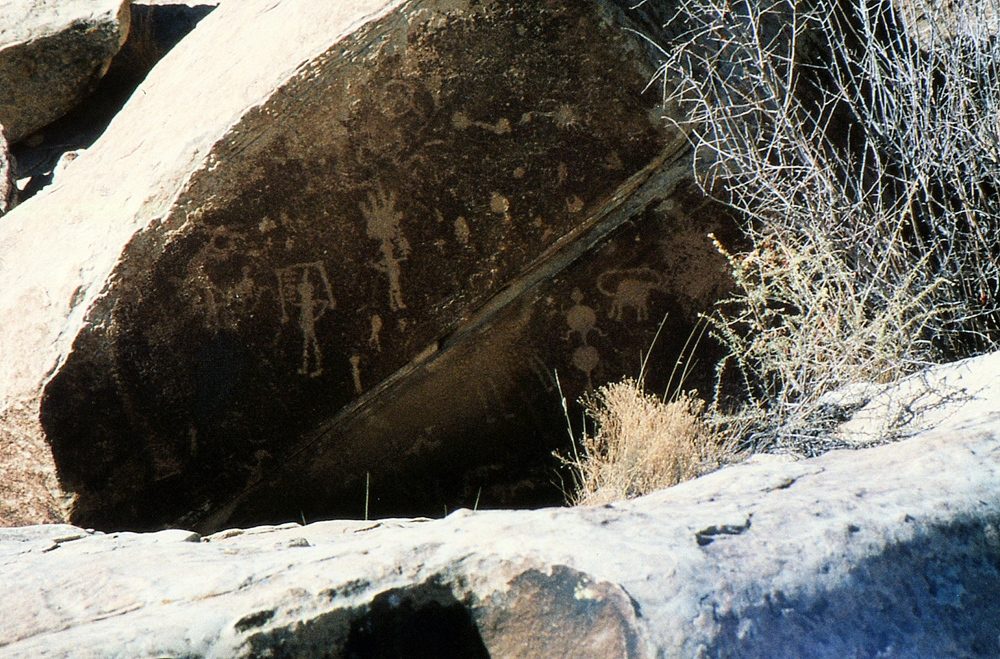 img105.jpg