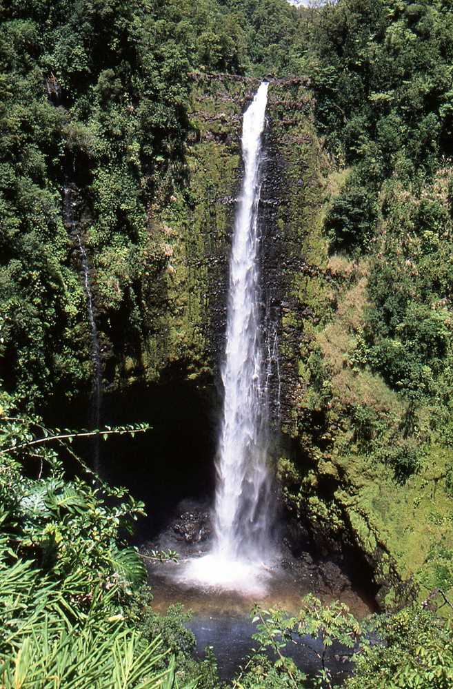 img187.jpg