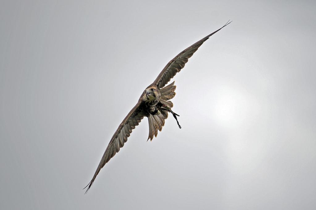 Img2011 08 06 15 36 30