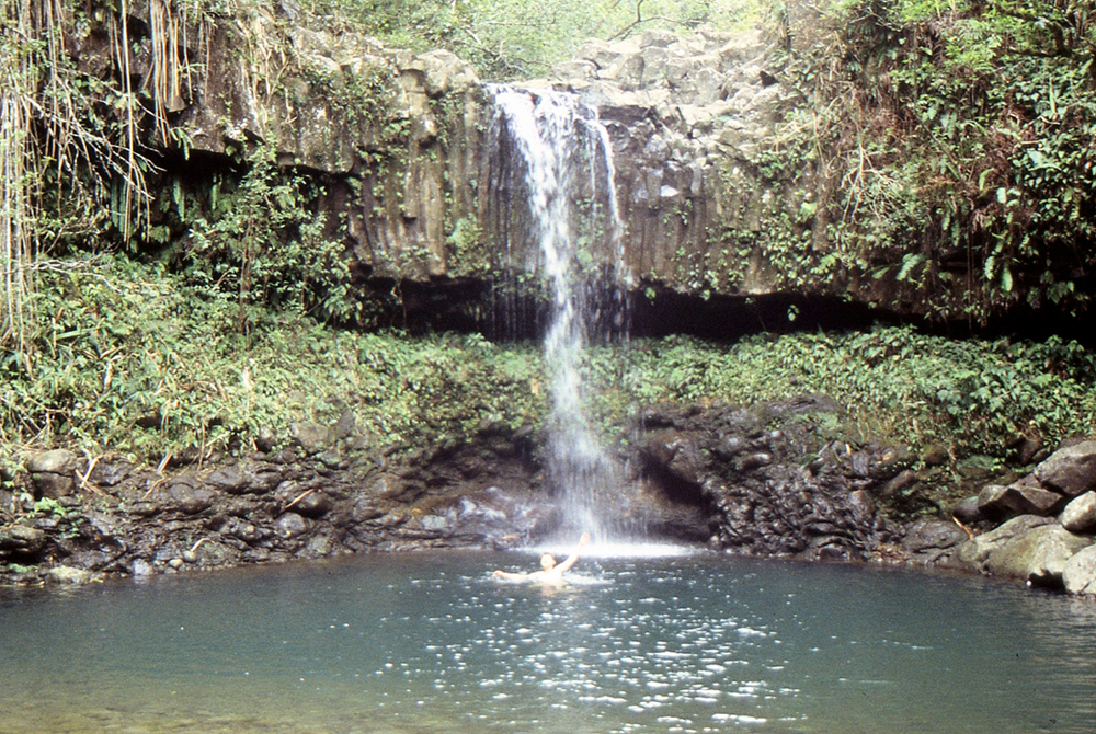 img205.jpg