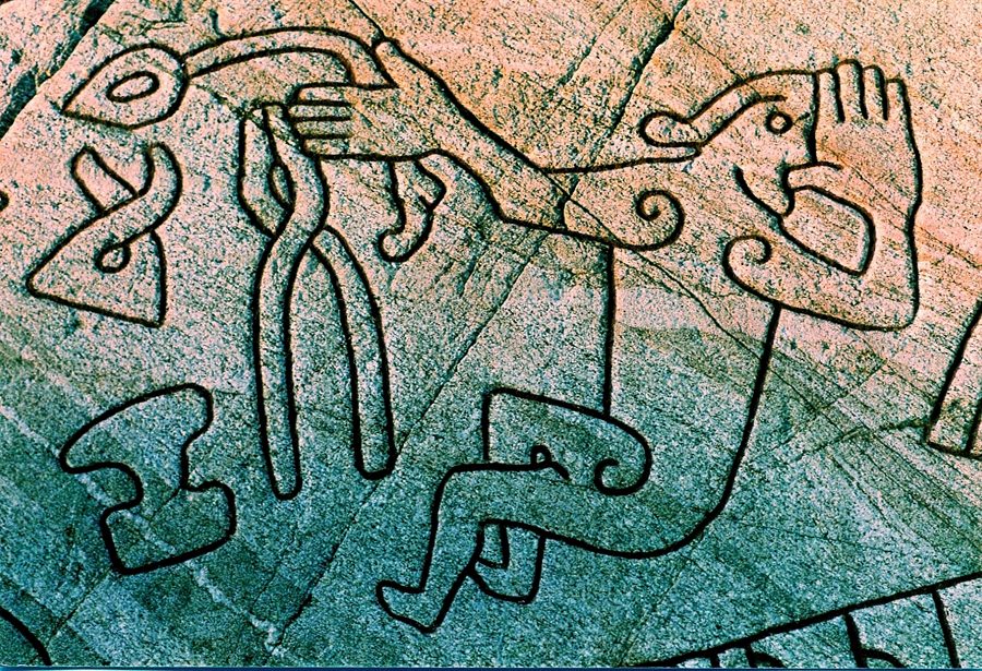 img466.jpg