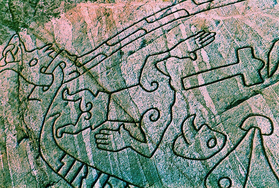 img467.jpg