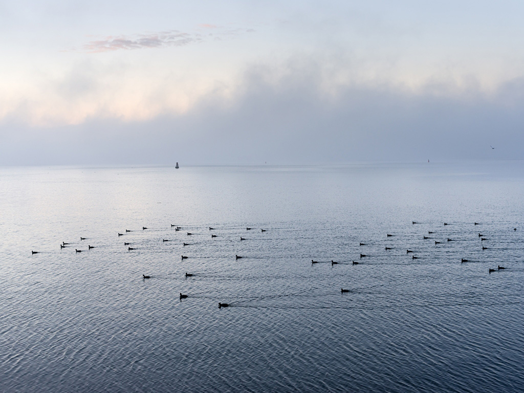 IMG7137 Bearbeitet 01
