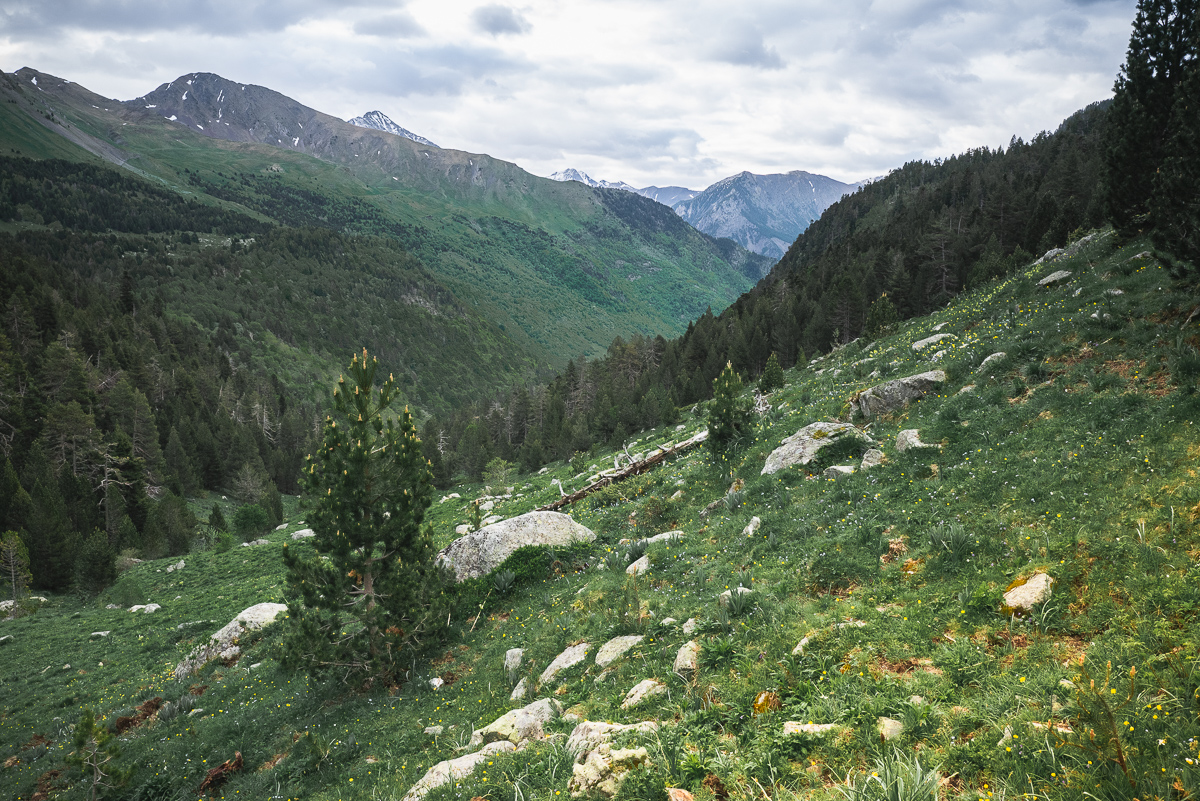 IMG_2019-06-06_07-55-14.jpg