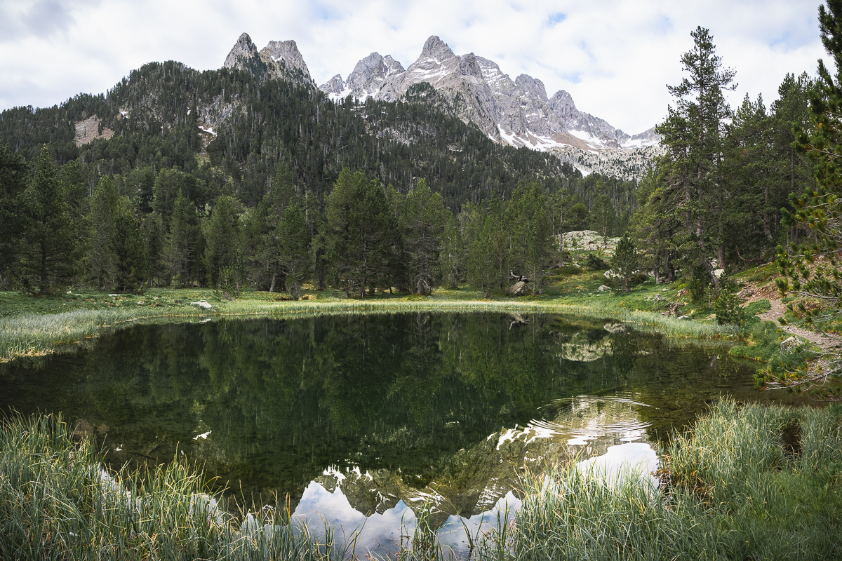 IMG_2019-06-06_08-35-39-Pano.jpg