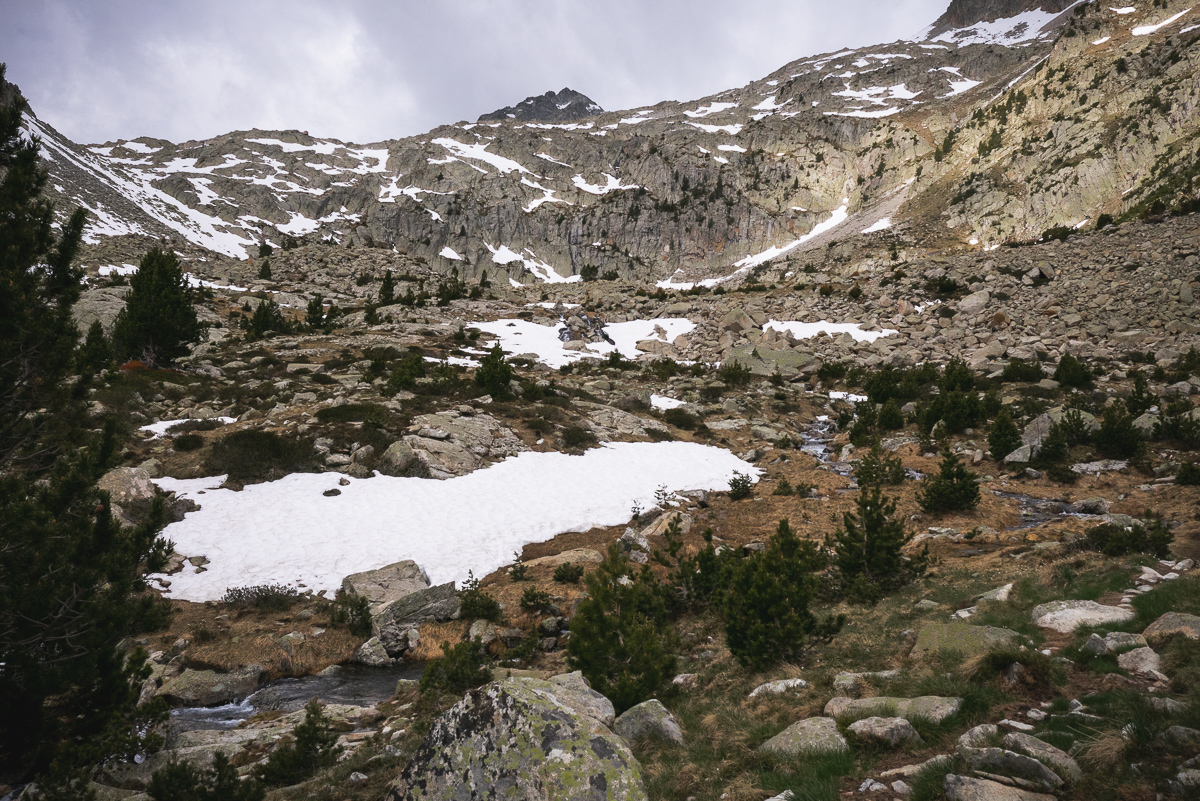 IMG_2019-06-06_10-06-19.jpg