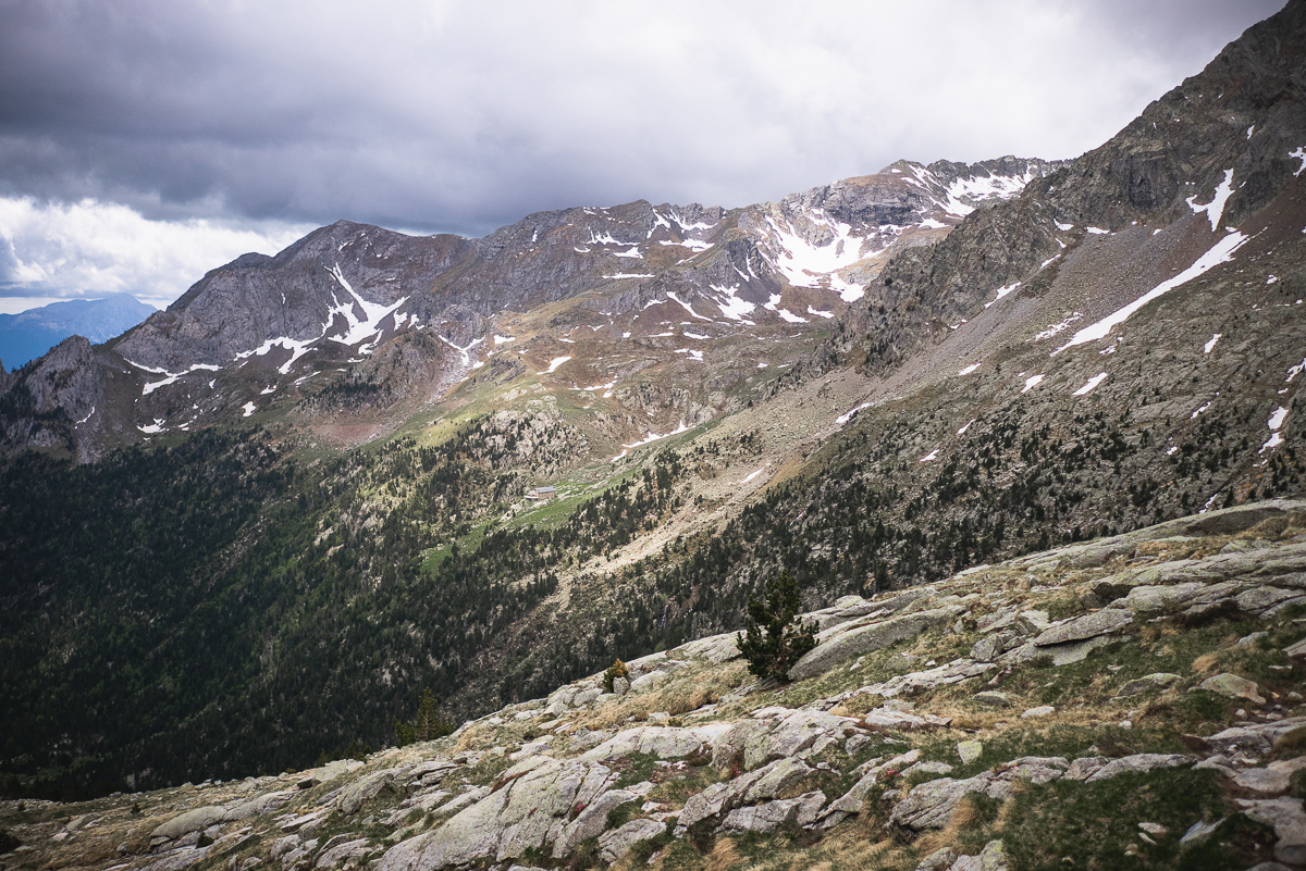 IMG_2019-06-06_12-55-17.jpg