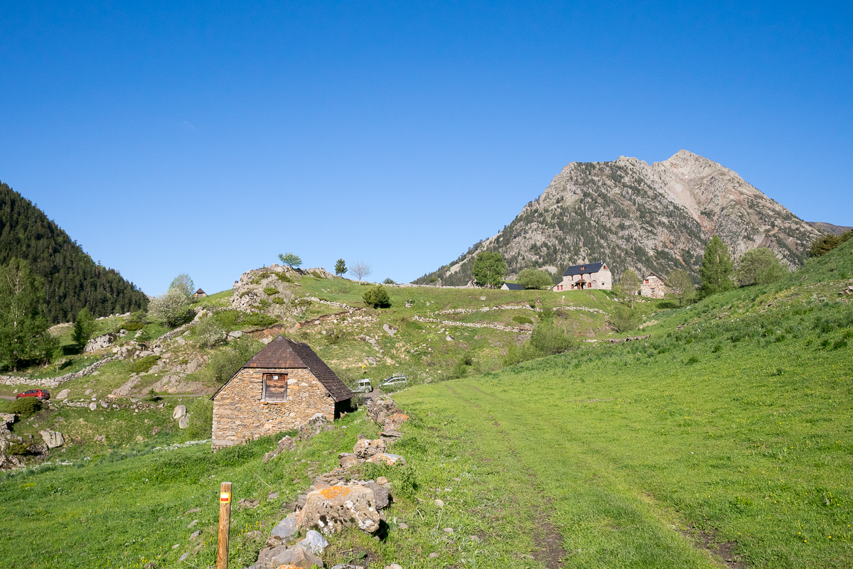 IMG_2019-06-08_08-55-10.jpg