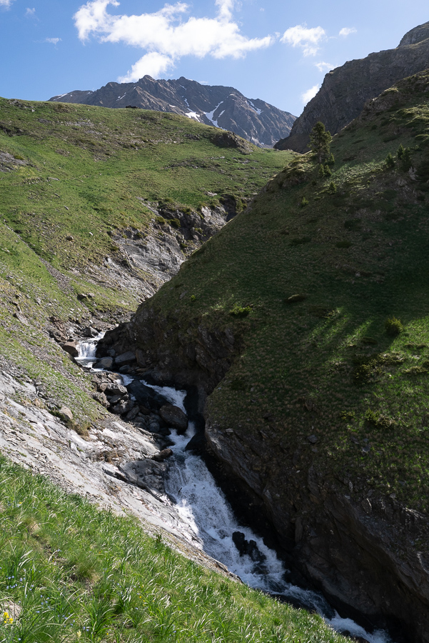 IMG_2019-06-08_10-02-43.jpg