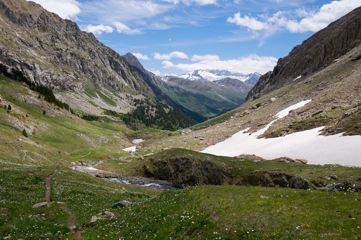 IMG_2019-06-08_13-13-44.jpg