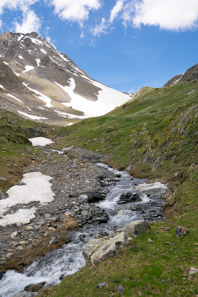 IMG_2019-06-08_13-16-13.jpg