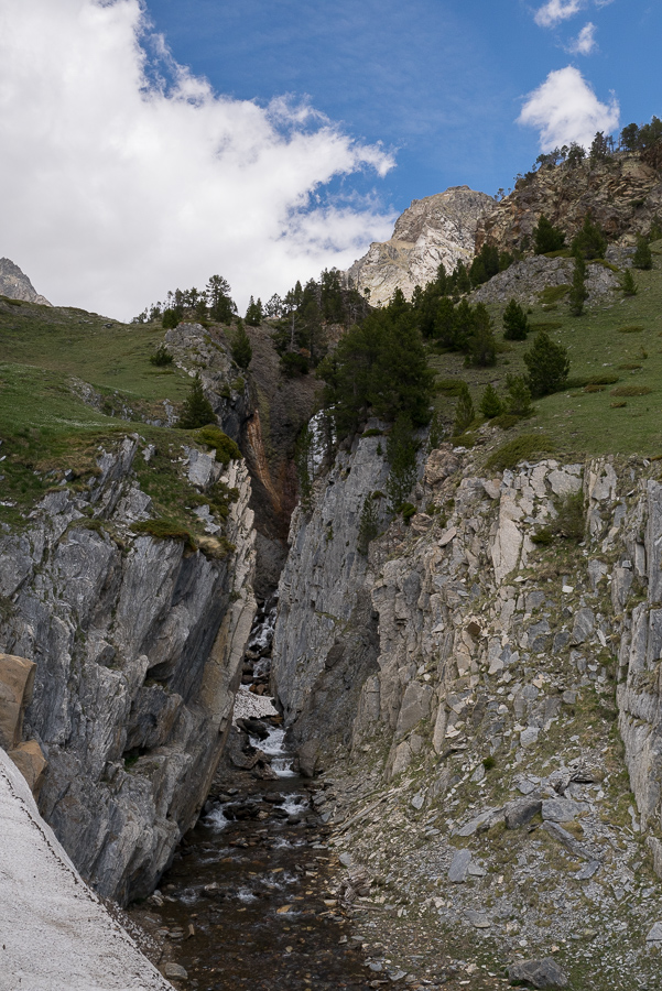 IMG_2019-06-08_13-18-35.jpg