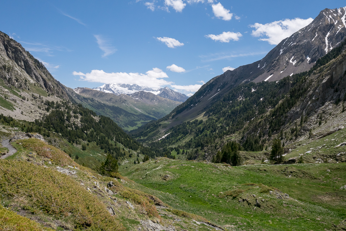 IMG_2019-06-08_13-29-57.jpg
