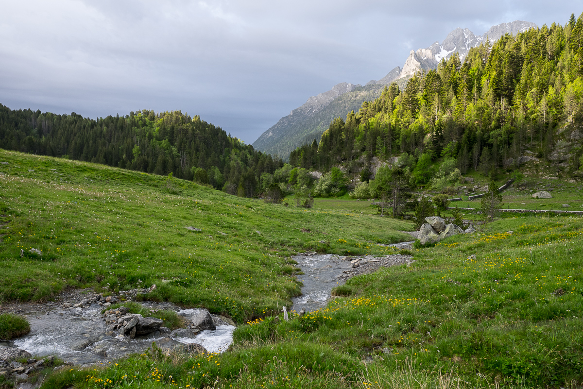 IMG_2019-06-09_08-16-53.jpg
