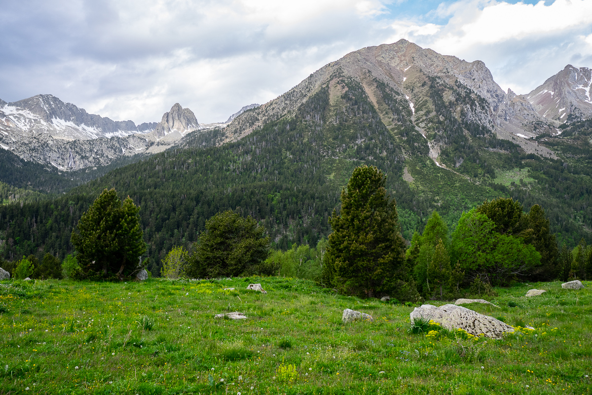 IMG_2019-06-09_08-35-45.jpg