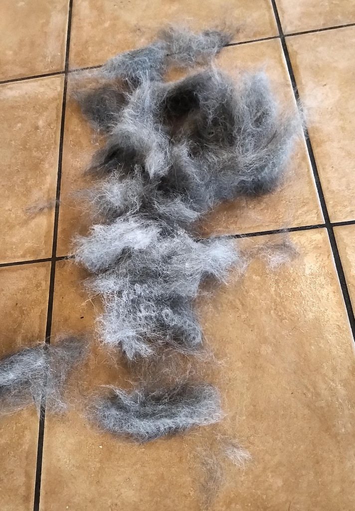 IMG_20200330_1753529.jpg