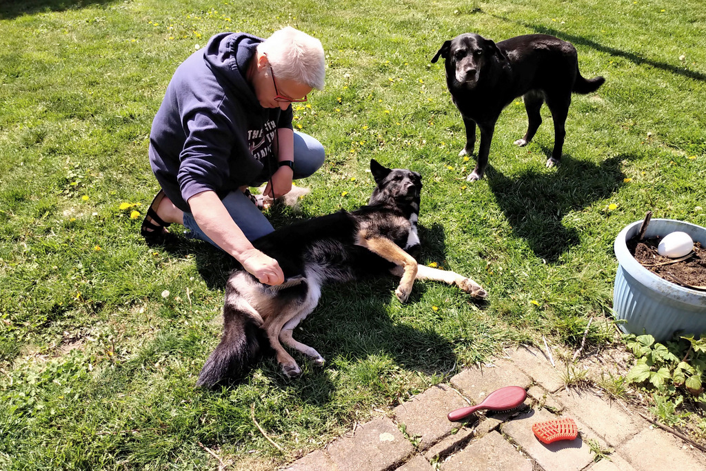 IMG_20200426_1223183.jpg