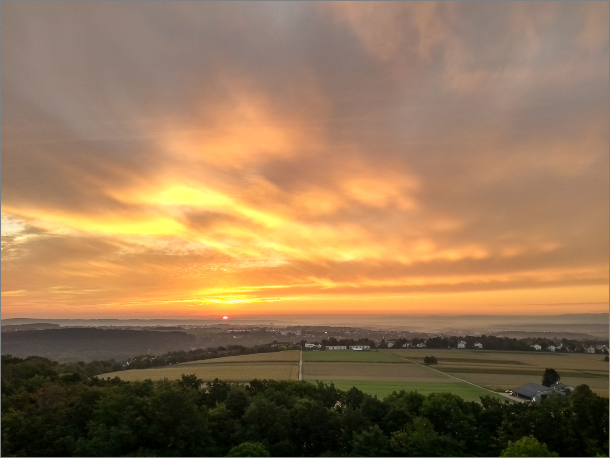 IMG_20200916_070342330_HDR.jpg