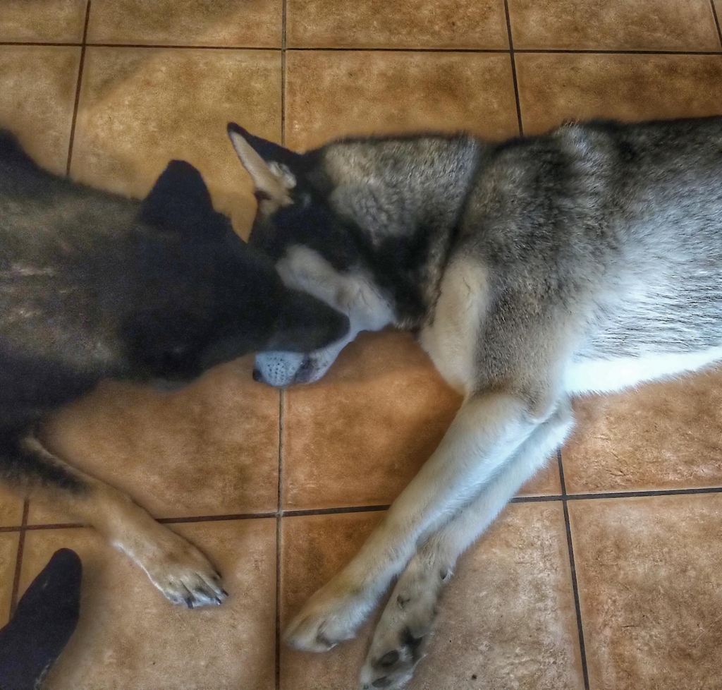 IMG_20210719_1653453-01.jpg